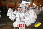 48919.jpg