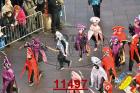 11497.jpg