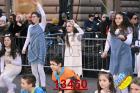 13460.jpg