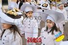 26005.jpg