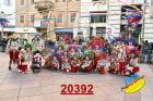 20392.jpg