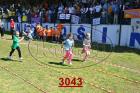 3043.jpg