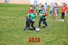 3518.jpg