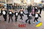 6447.jpg