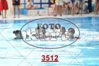3512.jpg