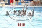 3515.jpg