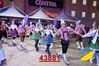 43881.jpg