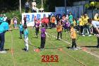 2953.jpg