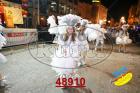 48910.jpg