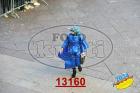 13160.jpg