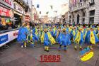 15685.jpg