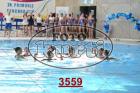 3559.jpg