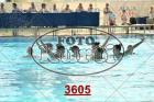3605.jpg