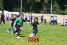 3386.jpg