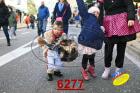 6277.jpg