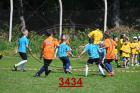 3434.jpg