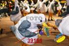 39164.jpg