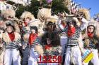 15250.jpg