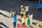 8733.jpg