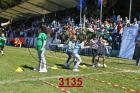 3135.jpg