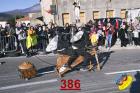 386.jpg