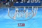 1739.jpg