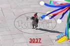 3037.jpg