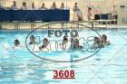 3608.jpg