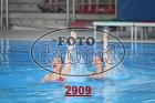 2909.jpg