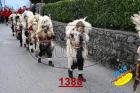 1388.jpg