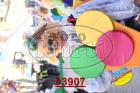 03907.jpg