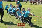 2323.jpg