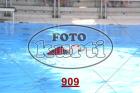 909.jpg