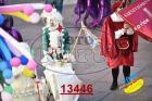 13446.jpg