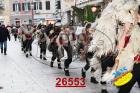 26553.jpg