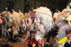 46166.jpg