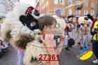 27361.jpg