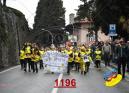 1196.jpg