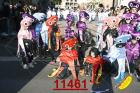 11461.jpg