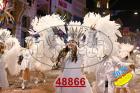 48866.jpg