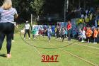 3047.jpg