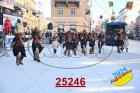 25246.jpg
