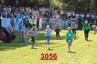 3056.jpg