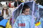 1065.jpg
