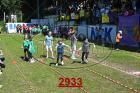 2933.jpg