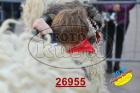 26955.jpg