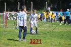 3271.jpg