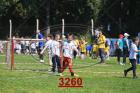3260.jpg