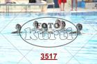 3517.jpg
