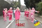 5547.jpg